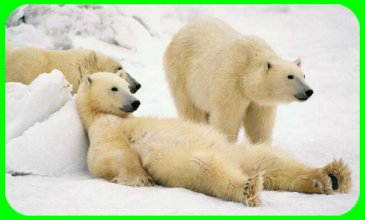 Call OSST Inc, then rest easier tonight.